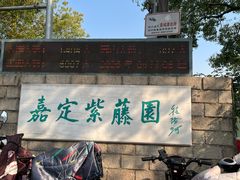 -嘉定紫藤园
