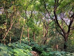 -杭州半山国家森林公园