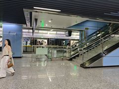 -大龙山(地铁站)