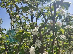 -小八仙·宴(三峡茶庄店)