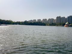 -南翔镇银翔湖公园