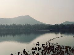 -西湖外事游船(花港观鱼码头)