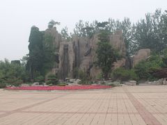 -济南植物园
