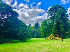 -墨尔本皇家植物园