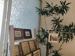 -姜美堂·蒸姜除湿の纤体美颜馆