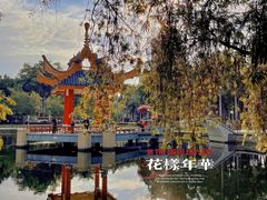 -金砂公园