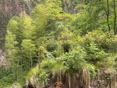 -楠溪江风景名胜区