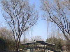 -兰陵国家农业公园