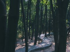 -火炉山森林公园