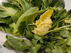 -草原传奇鲜羊火锅(桥北店)