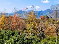 -塔川景区