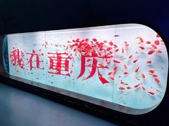-重庆欢乐海底世界