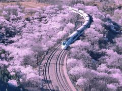 -居庸关长城