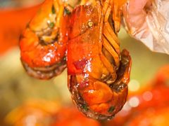 -熊记虾王·小龙虾(东晓南店)