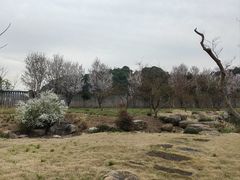 -龙坞茶村