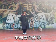 -灵玲国际马戏城