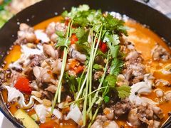 招牌牛蛙火锅-熊记虾王·小龙虾(东晓南店)