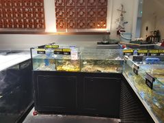 -闽海肴(北辰荟店)