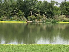 -桤木河湿地公园