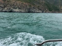 -小猫钓鱼海钓俱乐部(椰梦长廊店)