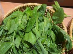 -巴奴毛肚火锅(龙湖锦艺城店)