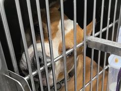 -达爱动物医院·犬猫分区·CT·复杂眼科(远洋山水分院)
