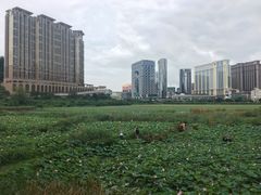 -龙环葡韵住宅式博物馆