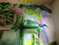 孔雀手植物美甲(城西银泰店)-孔雀手美甲美睫护理