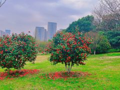 -苏州东太湖生态园