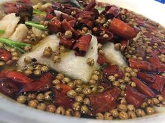 水煮鱼草鱼-眉州东坡(北苑华贸店)