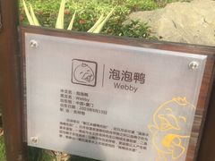 -厦门日月谷温泉渡假村