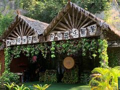 -西双版纳原始森林公园