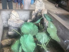 -灶东家民间菜(回兴店)