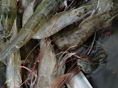 -王四营海鲜市场