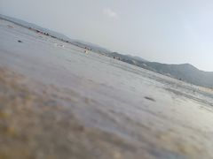 -大京沙滩