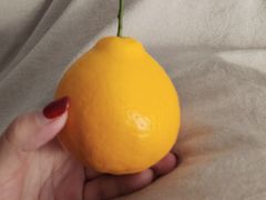 -中关村生命科学园