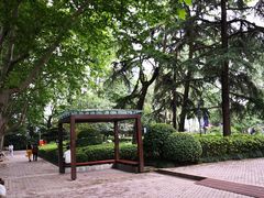 -静安公园(静安寺街道)