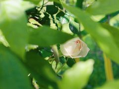 -南通洲际绿博园