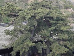 -雁门关景区