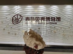 -青岛贝壳博物馆