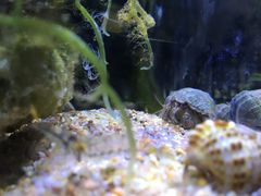 -齐海鱼圣深海石斑鱼火锅店(极地海洋世界店)