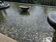 -三亚国光豪生度假酒店-椰语堂清补凉(国光豪生店)