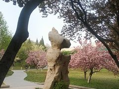 -石家庄市植物园