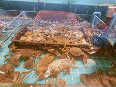 -九月海·海鲜自助(世纪东方店)