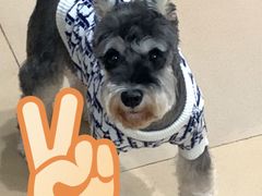 -LV路易威登(国际广场店)