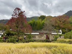 -塔川景区