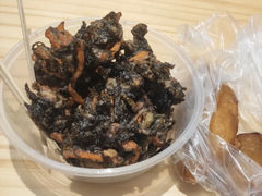 紫菜-海丝金凤(金鱼店)