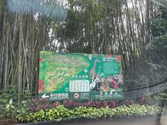 -海南热带野生动植物园