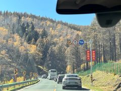 -塞罕坝国家级自然保护区