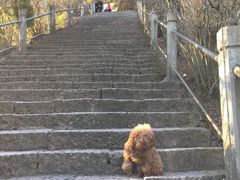 -天台山赤城山景区